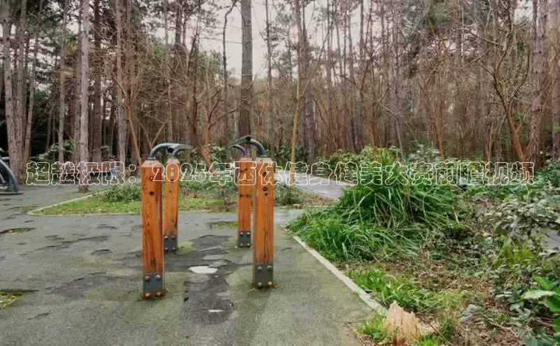 k8凯发天生赢家一触即发人生剧情